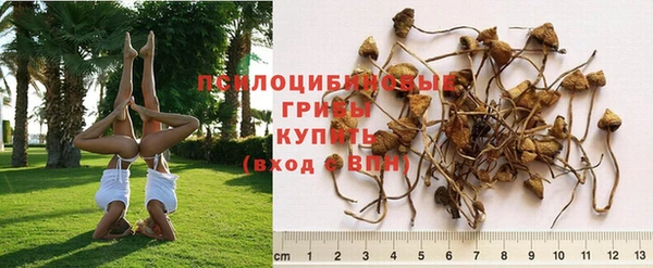 эйфоретик Абинск