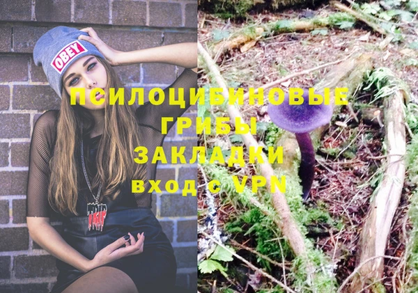 эйфоретик Абинск